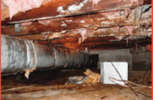Mold in crawl space 