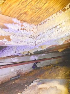 Mold In Crawl Space 